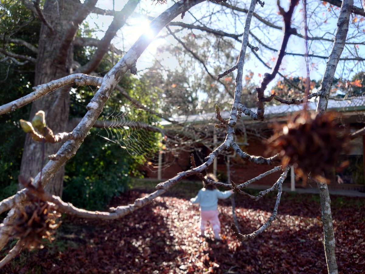 🇦🇺 king of the mountain 🇵🇭 tweet media