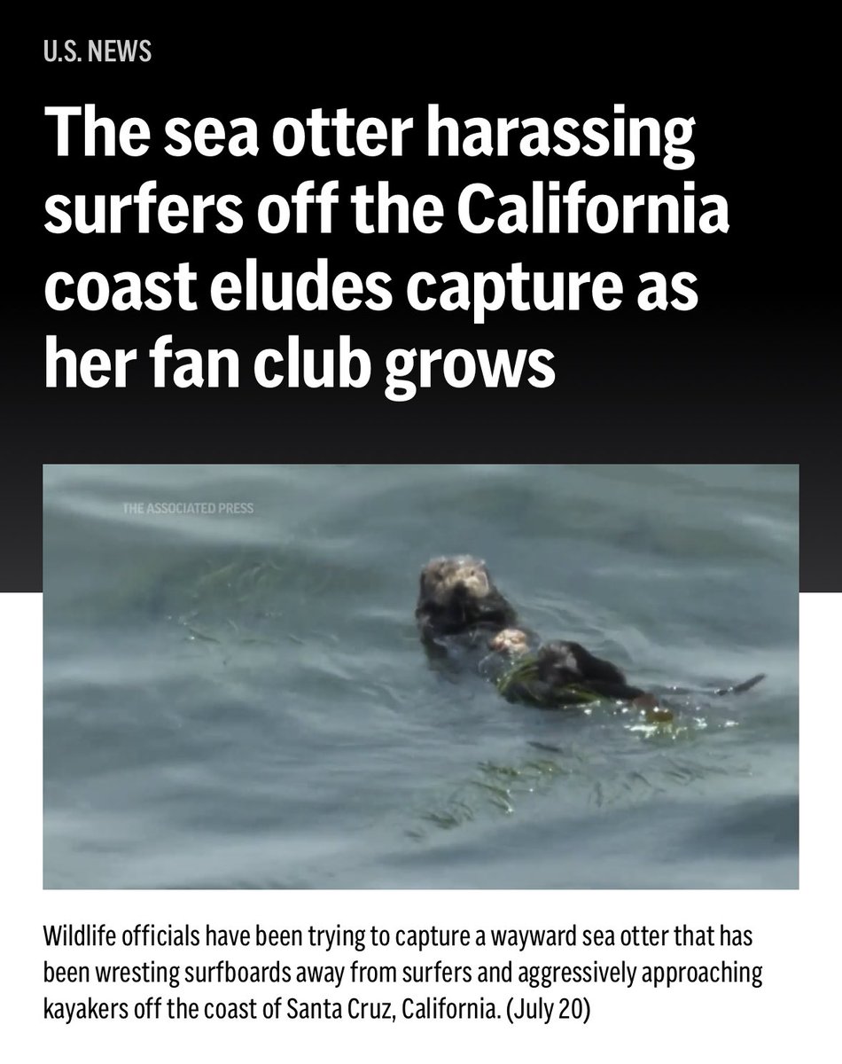 door (@door2x) on Twitter photo 