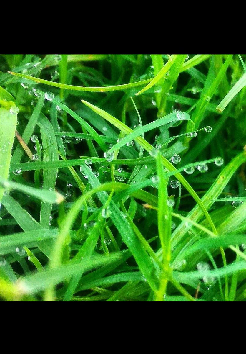 devskool's tweet photo. Good morning ๐
#Mobile #photography
#DEVSKOOL #HISAR #HARYANA
#indianphotography #nature #explore #india #mi #mobilephotography #art #colorful #love #naturalphotography #insta #morning #photography #walk #urban #devskool #dk #deven #drops https://t.co/ZCSfi8Fpj5