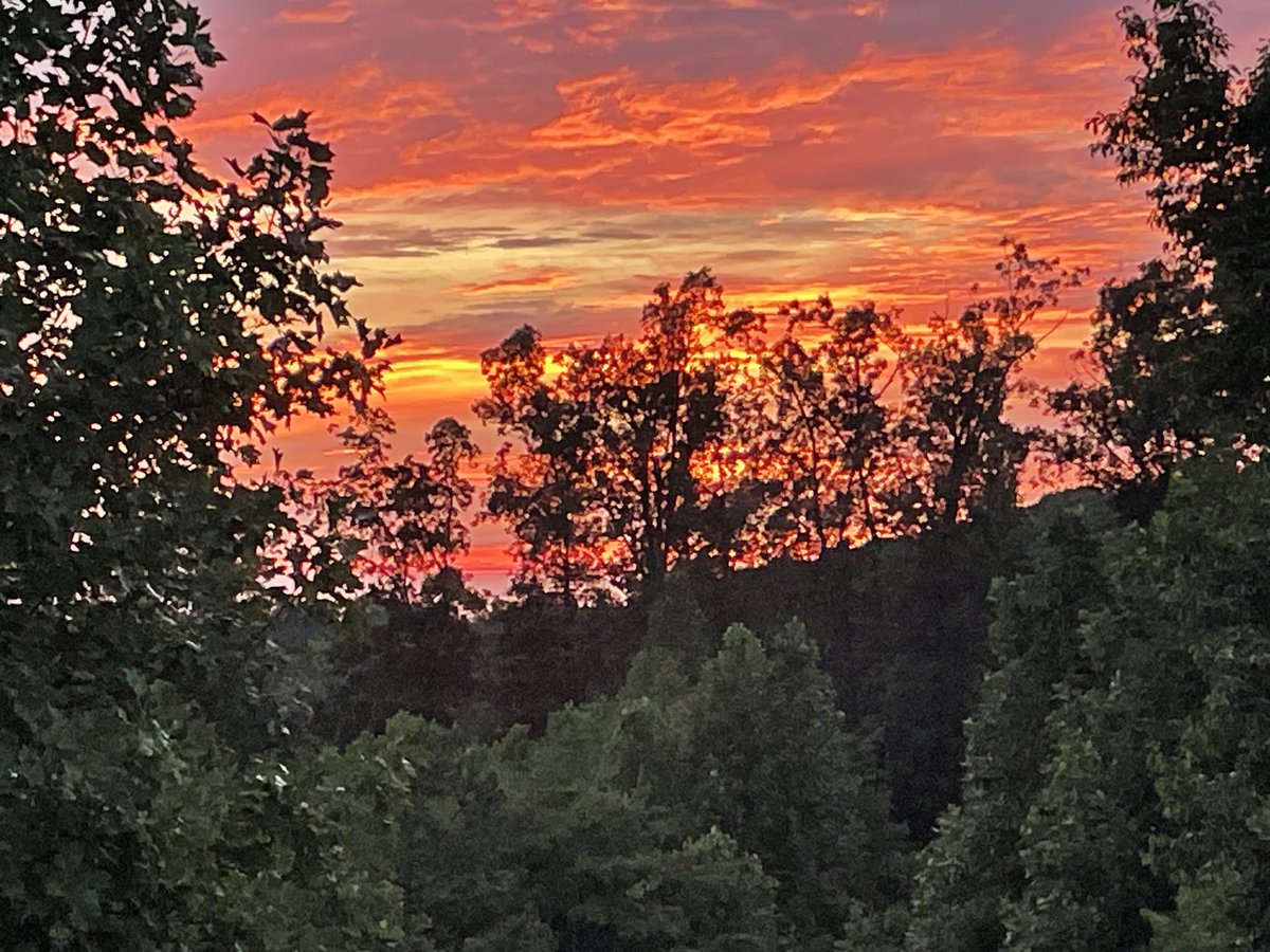 Jeff Saylor tweet media