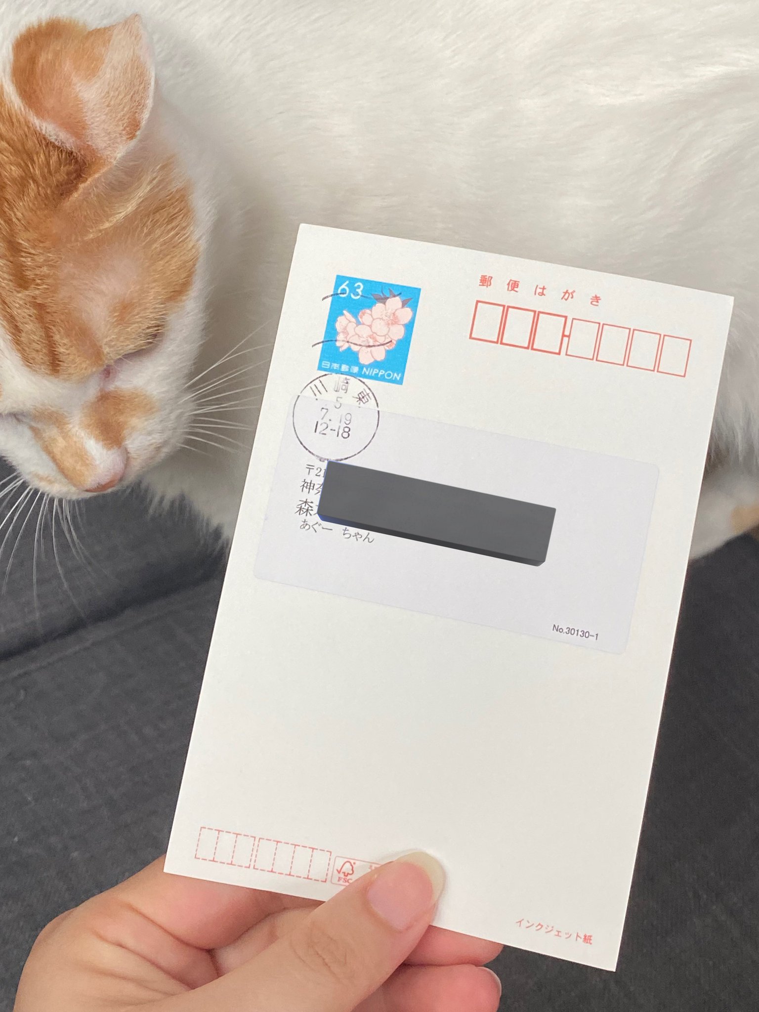 外国産猫☆通常はがきＡ（インクジェット紙）３０☆ おえも@さぶ on X: 