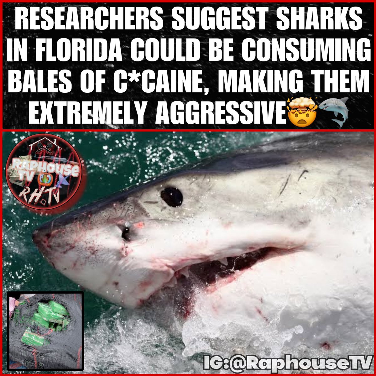 Raphouse TV (RHTV) tweet media