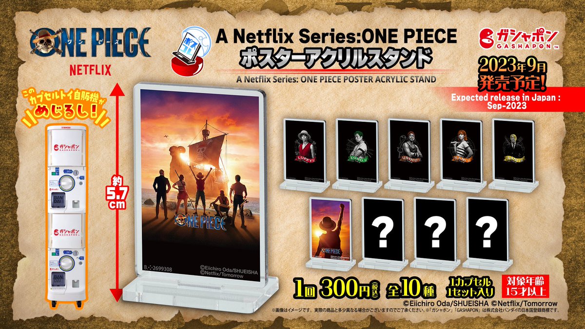 ONEPIECEDAY