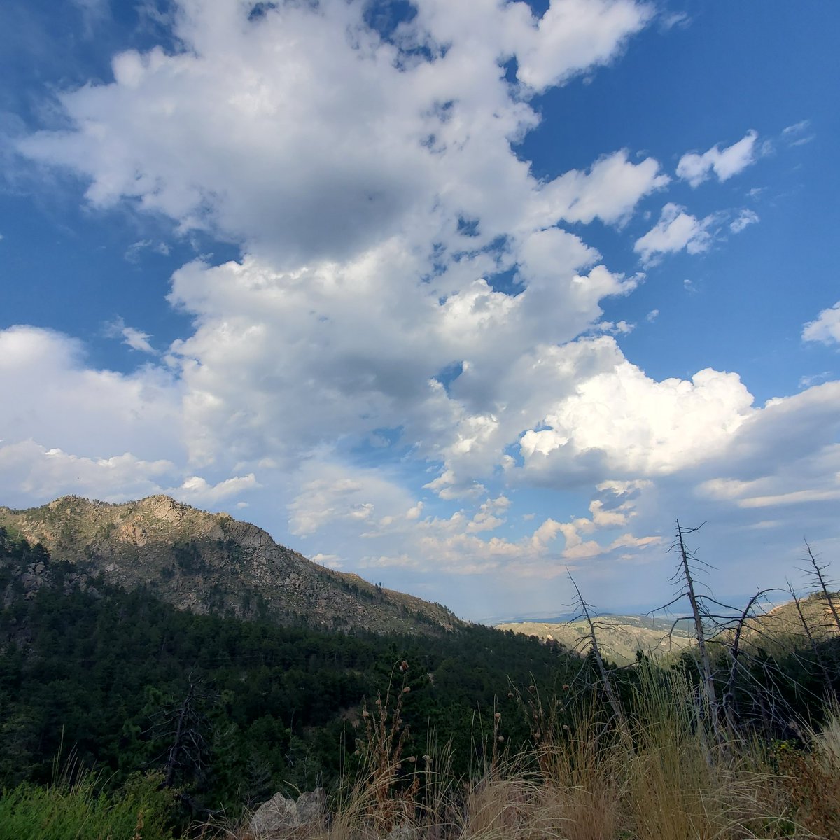 MountainTroll8's tweet photo. On Mountain time! https://t.co/4HM8caaQ5g