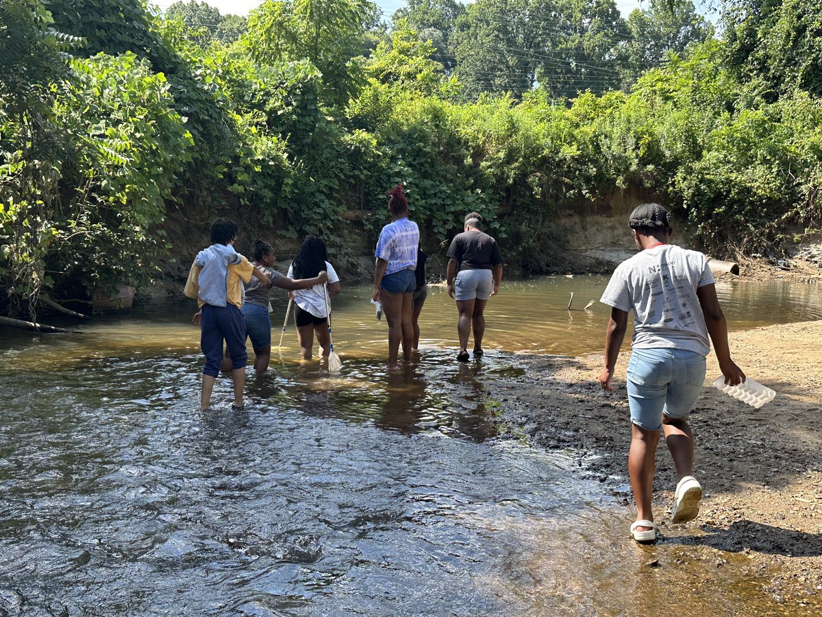 wssugems's tweet photo. We collected some data and had some fun in the creek! We tested a new part of Salem creek at @GatewayNature preserve. Maybe took another album cover picture 😂 @WSSURAMS @WSSUTeachEd @DrAntGraham https://t.co/LhOdxfnBqu