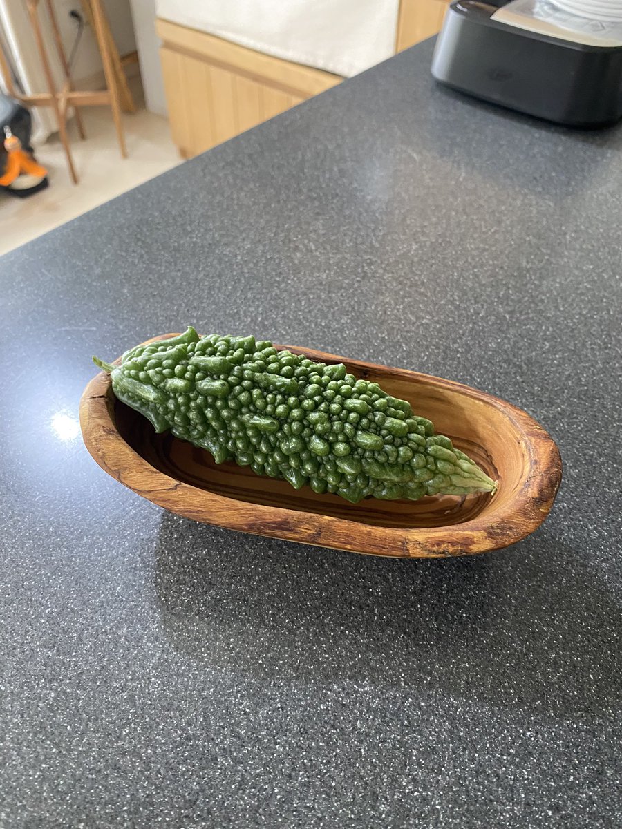 ポテトチップスを入れるために注文したオリーブウッドのボウルが想像の1/4サイズだった…。とりあえずミニゴーヤのベッドにしています。