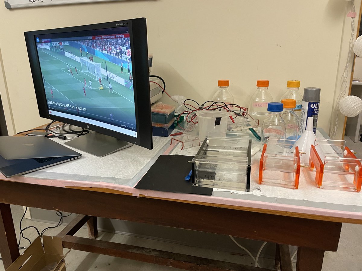 Priorities #MicrobialDiversity ⁦@MBLScience⁩ DNA extraction, gel electrophoresis and Women’s World Cup!