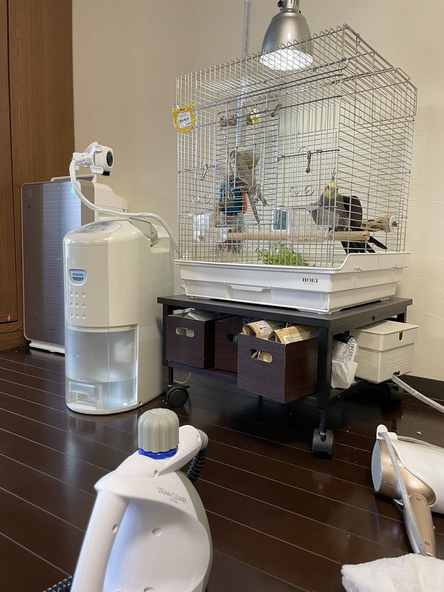 aardvarkPPP's tweet photo. 鳥用品にざばざばお湯かけて熱湯消毒～なんてやってますが、ホントは滅菌って121℃で20分間とかやるんですよね。ご家庭ではどうしたらいいのか疑問に思っていたところ、アイリスオーヤマのスチームクリーナー説明書にいい解説が。滅菌じゃなくて「高い除菌効��」ってしてるのも誠実。
#オカメインコ https://t.co/5Ffp5UW4VV