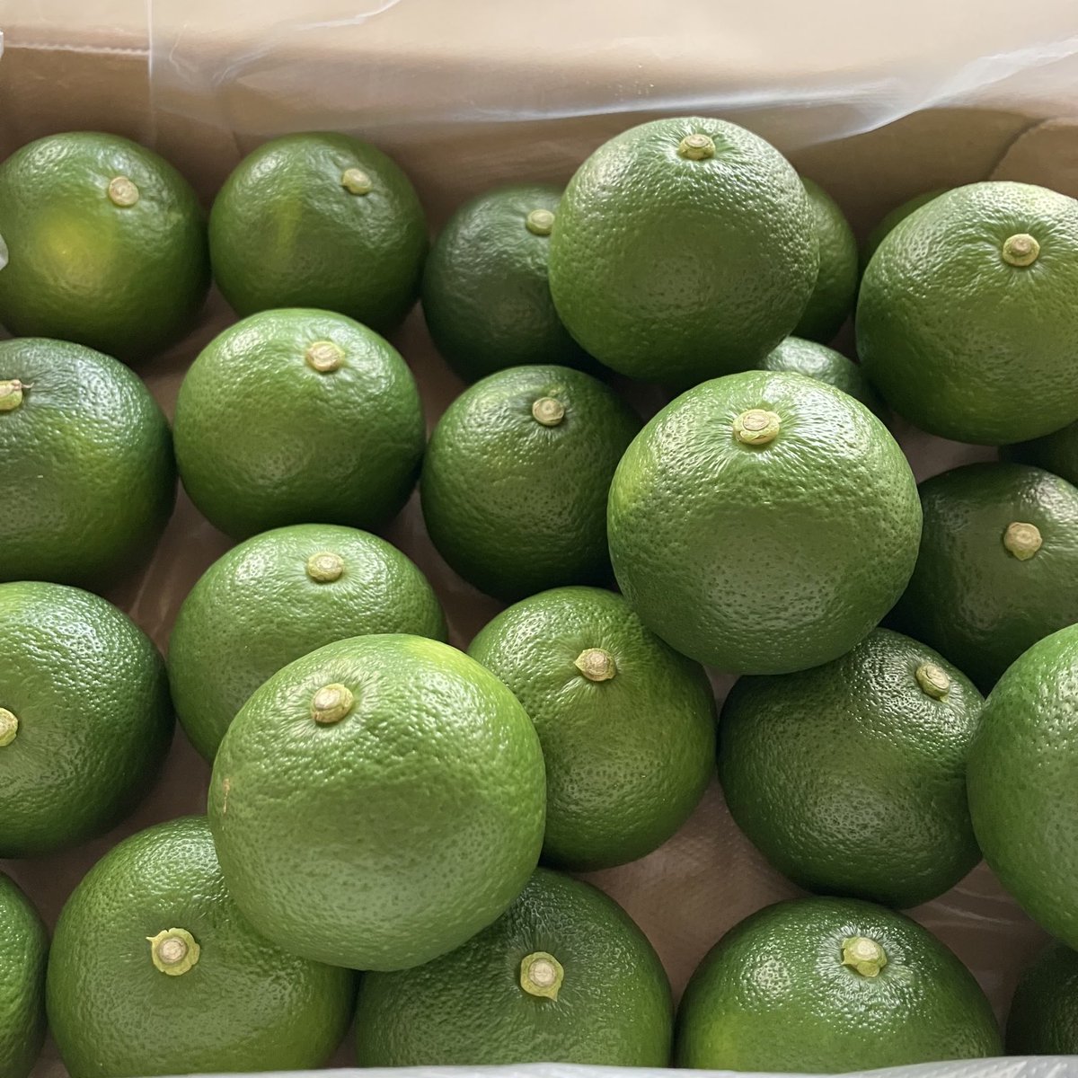 重曹クエン酸ドリンク - Twitter Etiketi | Sotwe