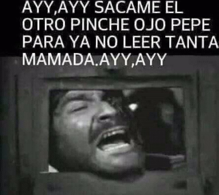 EL TOMANDANTE tweet media