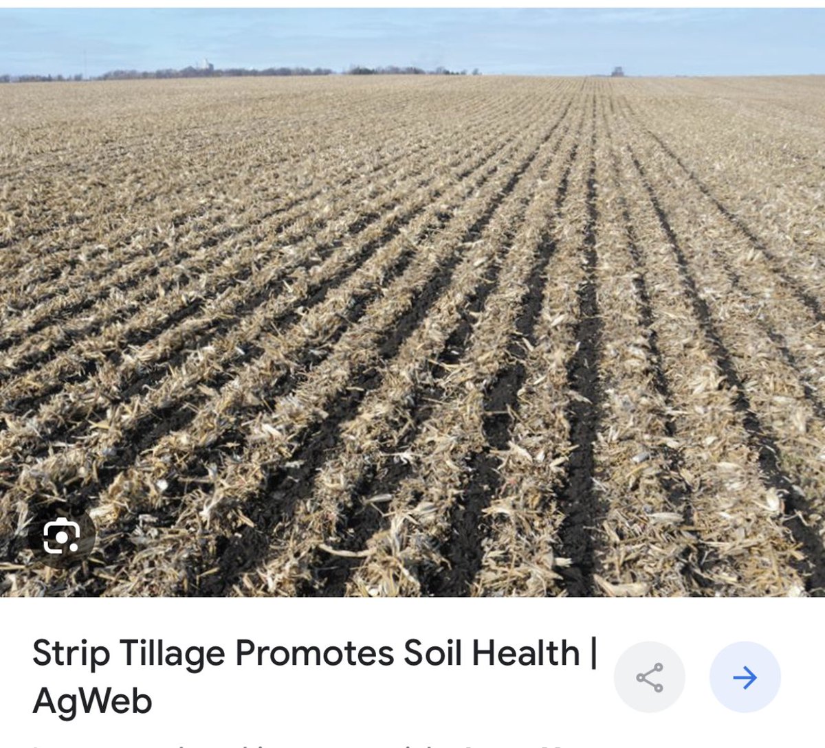 Bodie Kitchel tweet media