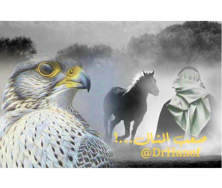 أعيش ضامي ولا أشرب من قراح غزير
لا صار في جمّة الماء غير دلوي …. دلو 

<a href="/DrHanef/">صعب المنال ...!</a> 
<a href="/Dr_hanef/">صعب المنال ...!</a> 
#مجرد_ذوق 
#رسالة_اليوم 
#رسالة_لقلبك 
#صعب_المنال 
#رسالة_قصيرة 
#جنوني_تعدى_الخيال