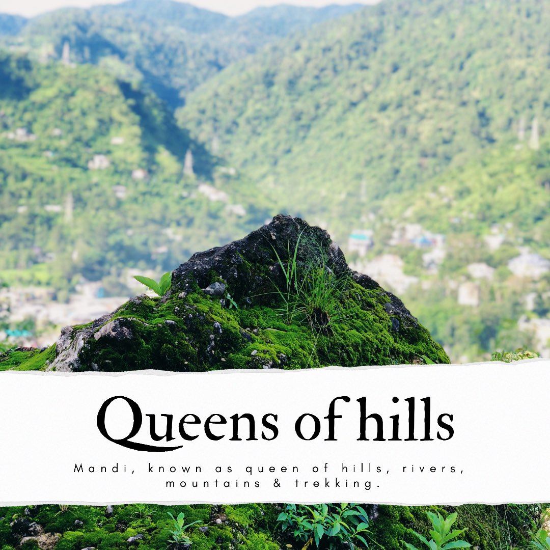 shineehotels's tweet image. Never measure the height of a mountain until you reach the top. Then you will see how low it was.

#keepmovingforward #staystrong #staypure #naturelovers