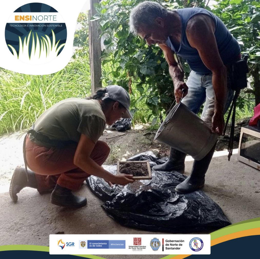 ensinorte's tweet photo. Toma de muestras de bromatología, agua y suelo.
María Chiquinquirá Ramirez
Predio el cóndor
Vereda buenavista

#ensinortetecnologíaeinnovación #ensilaje #ganaderia #forrajes #agricultura #alimentación #ganado #sostenibilidad #alimentaciónanimal #productividadagropecuaria #cultivo https://t.co/sc3NVxPW0v