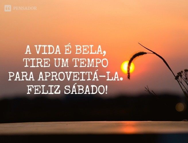 De Jesus Filomena (@dejesusfilomen1) on Twitter photo 