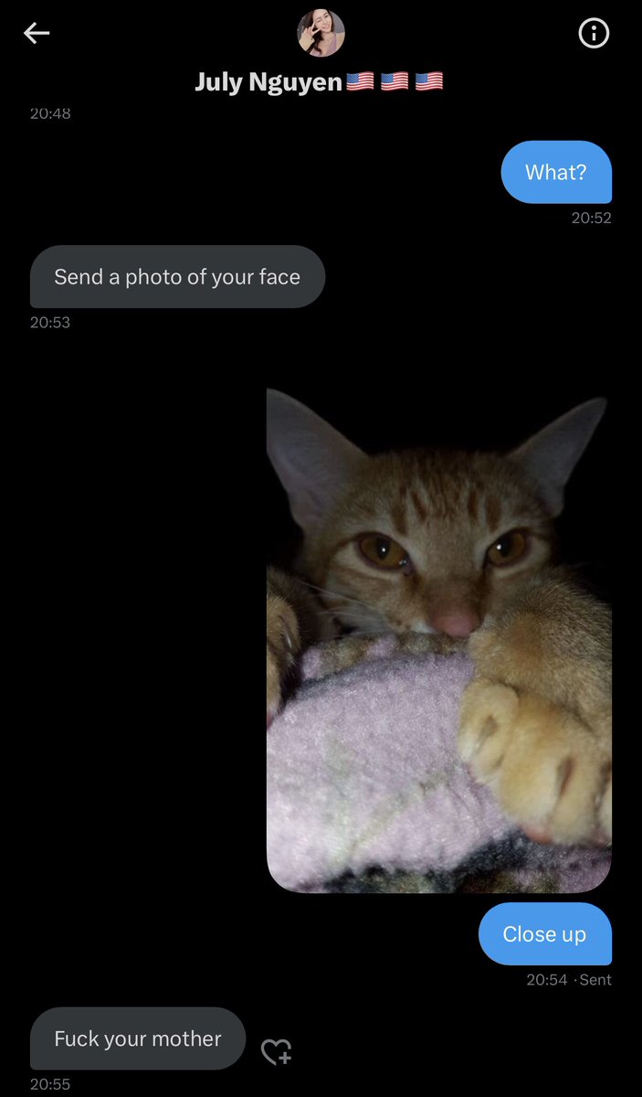 CatMaster81's tweet photo. Well that escalated quickly. https://t.co/cjOQXYcLJH