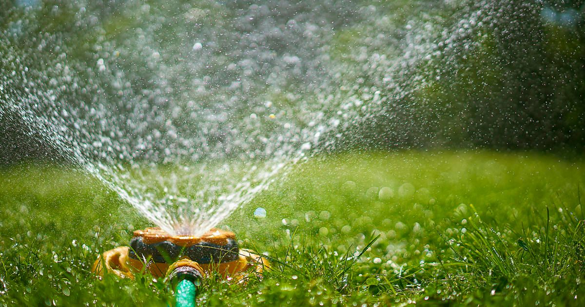 Tips to help your lawn cope with high heat ahead https://t.co/ljtX2hhTv4 https://t.co/M9UNncqivF