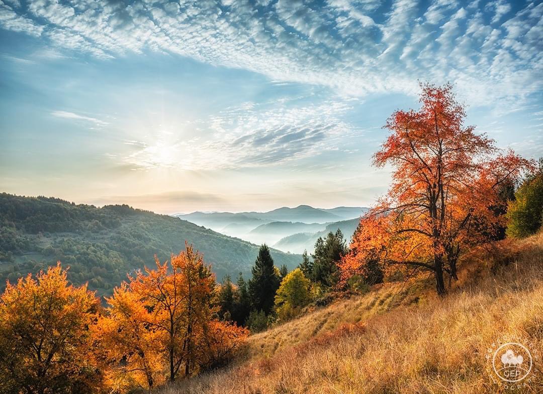 guyedwardes's tweet photo. A few freshly processed images for my last Bulgaria in Autumn workshop. If you'd like to join me in exploring this beautiful wild countryside this coming October, I still have one place available.
© Guy Edwardes Photography
#bulgarialandscape #rhodopemountains #autumnlandscape https://t.co/Hg0u0D7iXm