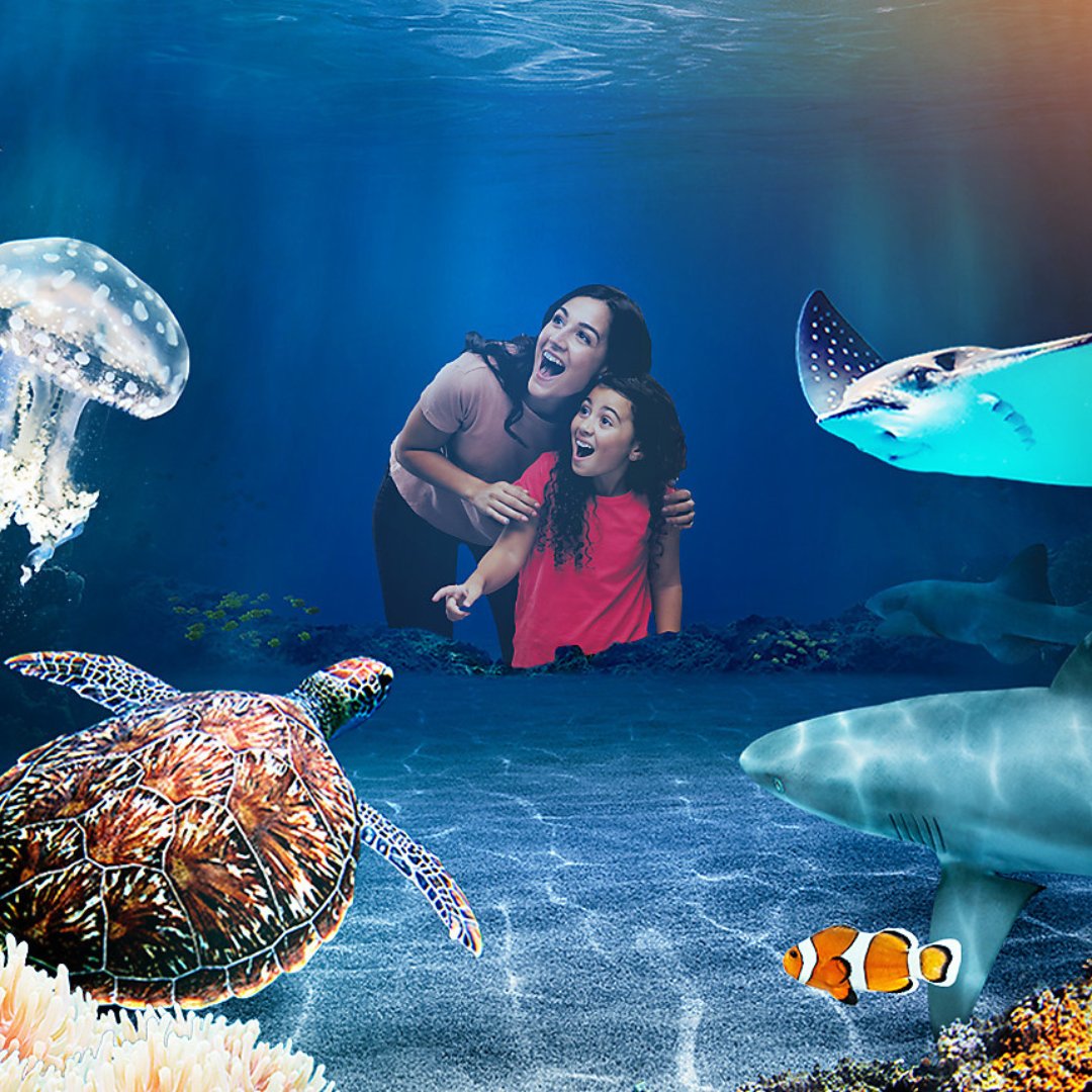 EducRewards's tweet photo. Plan some epic days out with the family! With Education Rewards get up to 29% off Sea Life Centre! #educationrewards #summer #2023 https://t.co/2b3ZnmVqTP
