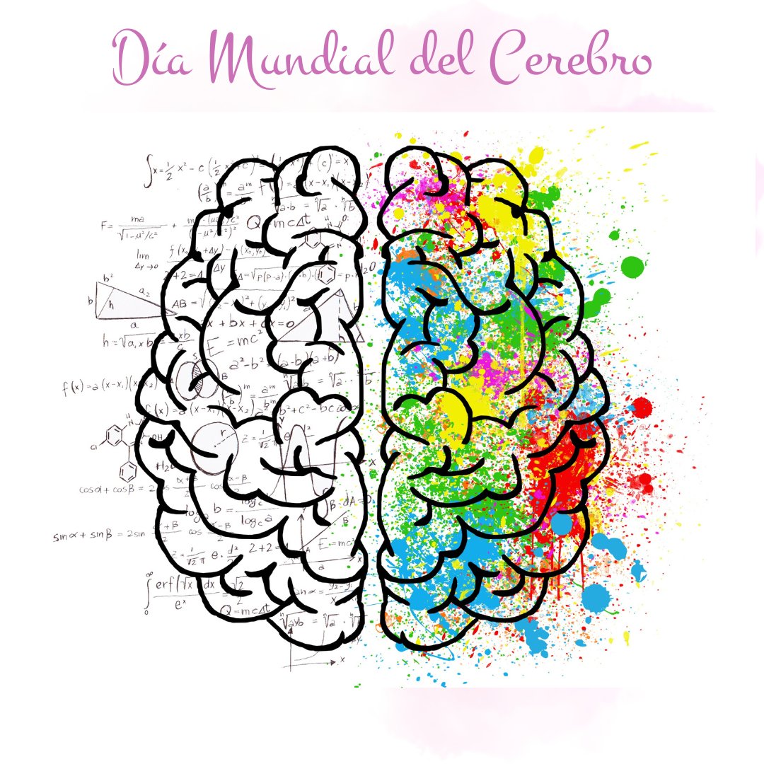 bernabeufarma's tweet photo. El 22 de julio es el Día Mundial del Cerebro. Recuerda que los hábitos de vida saludable son muy importantes para mantenerlo activo y cuidado. También puedes estimular tu cerebro mediante la lectura o realizando juegos como los crucigramas o las sopas de letras. https://t.co/Iq68CRwRLq