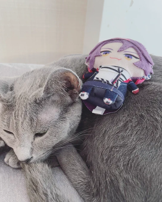 パペとネコ