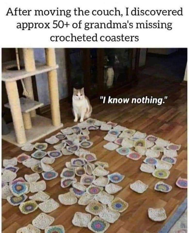 WholesomeMemes tweet media