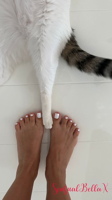 Paws and pedicure bliss! My feet met my cat's back legs. Adorable companionship in a single frame. 🐾💅😻  #PurrfectPair<a href="/tag/furryfriends"class="tags"><span>#furryfriends</span></a><a href="/tag/purrfectpair"class="tags"><span>#purrfectpair</span></a>