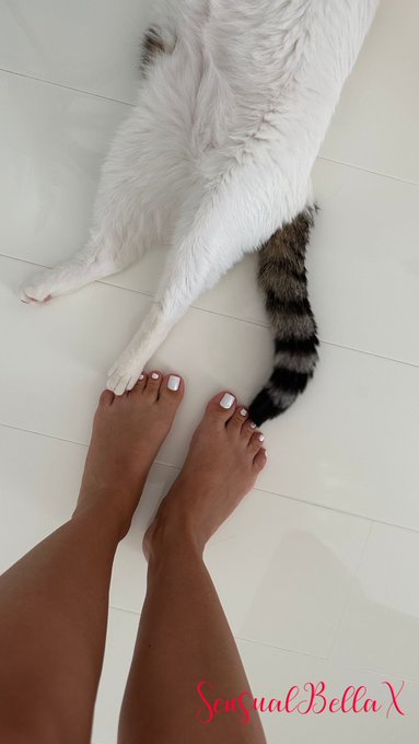 Paws and pedicure bliss! My feet met my cat's back legs. Adorable companionship in a single frame. 🐾💅😻  #PurrfectPair<a href="/tag/furryfriends"class="tags"><span>#furryfriends</span></a><a href="/tag/purrfectpair"class="tags"><span>#purrfectpair</span></a>
