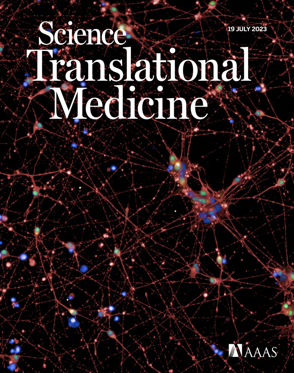 Was dieses Bild mit #Epigenetik und dem Risiko für ein erhöhtes #Gewicht zu tun hat? Hört ihr hier! share.deutschlandradio.de/dlf-audiothek-… Vielen Dank für das schöne Feature <a href="/Dlf_Forschung/">Wissenschaft</a> Und großer Dank an @berlinnovation <a href="/ChariteBerlin/">Charité - Universitätsmedizin Berlin</a> <a href="/dfg_public/">DFG public | @dfg_public@wisskomm.social</a> <a href="/ScienceTM/">Science Translational Medicine</a>  science.org/doi/10.1126/sc…