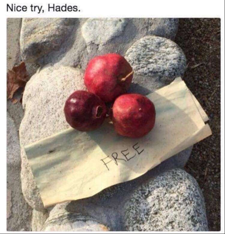 WholesomeMemes tweet media