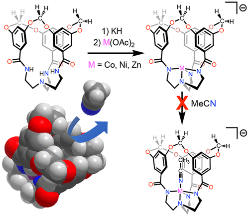 Coordinatively Unsaturated Metallates of Cobalt(II), Nickel(II), and Zinc(II) Guarded by a Rigid and Narrow Void | Inorganic Chemistry pubs.acs.org/doi/10.1021/ac… Barnett and co-workers @InorgChem #cobalt #nickel #zinc #metallates #unsaturated #rigid #narrow #void #tripodal