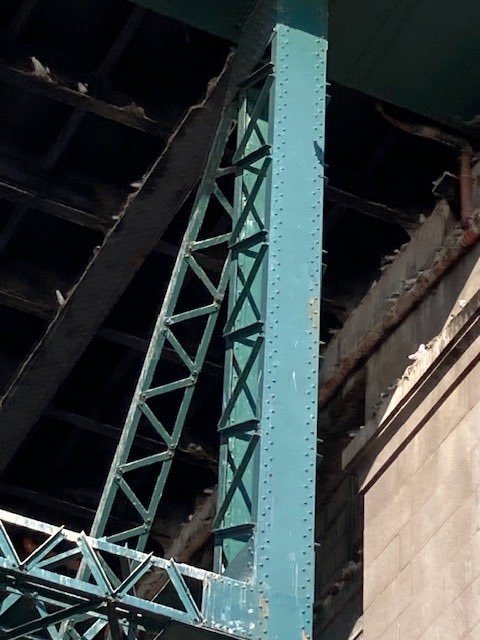 bonaomi1's tweet photo. Noisy kittiwakes under the Tyne Bridge, thanks to @BBCRadio3 listener James Bowyer for today’s Saturday Sound. @elizabethalker https://t.co/sWNluiFhwi