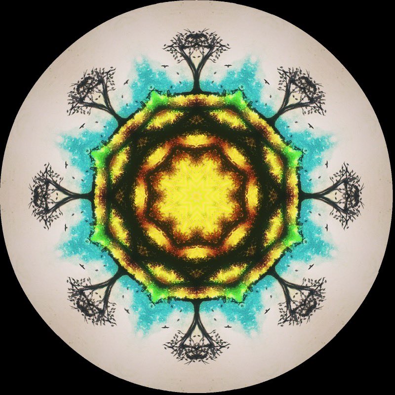 gennepher's tweet photo. #kaleidosaturday
#kaleidoscope
#laboscope
From my ink painting this morning https://t.co/00YDah2jmX