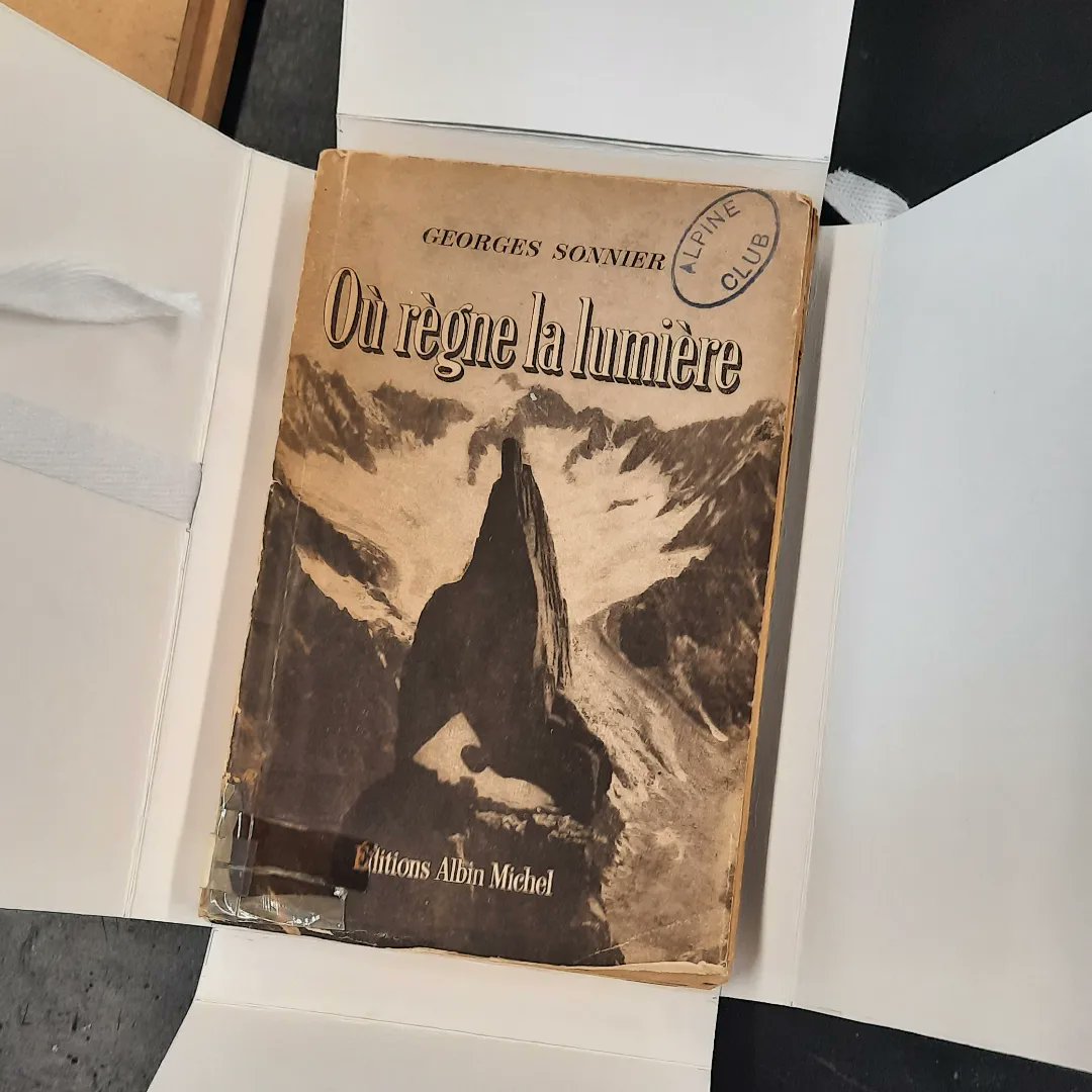 Emma McDonald tweet media