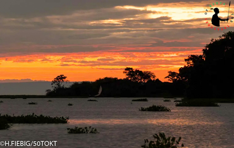 Treasures_Kenya's tweet photo. 🇰🇪 🇰🇪 Treasure Hunt Lake Victoria - Ndere Island National Park ❤️⛵🚣🐾👣😍

An awesome throwback moment exploring one of Lake Victoria’s and indeed Western Kenya’s incredible gems.  rightfully dubbed “Island of Serenity and Beauty”
#MagicalKenya #ZuruKWSParks #TreasureKenya https://t.co/k0lXKiP9pa
