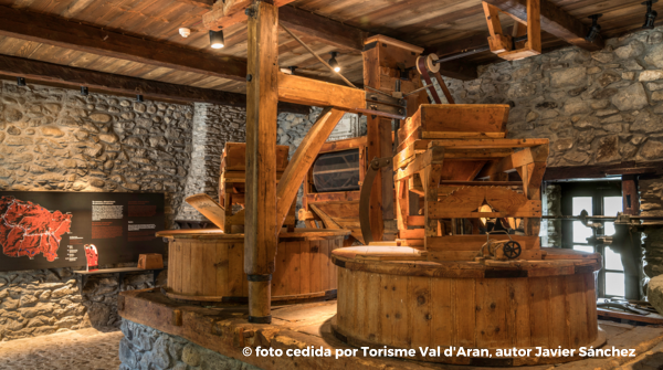 Multibaqueira tweet media