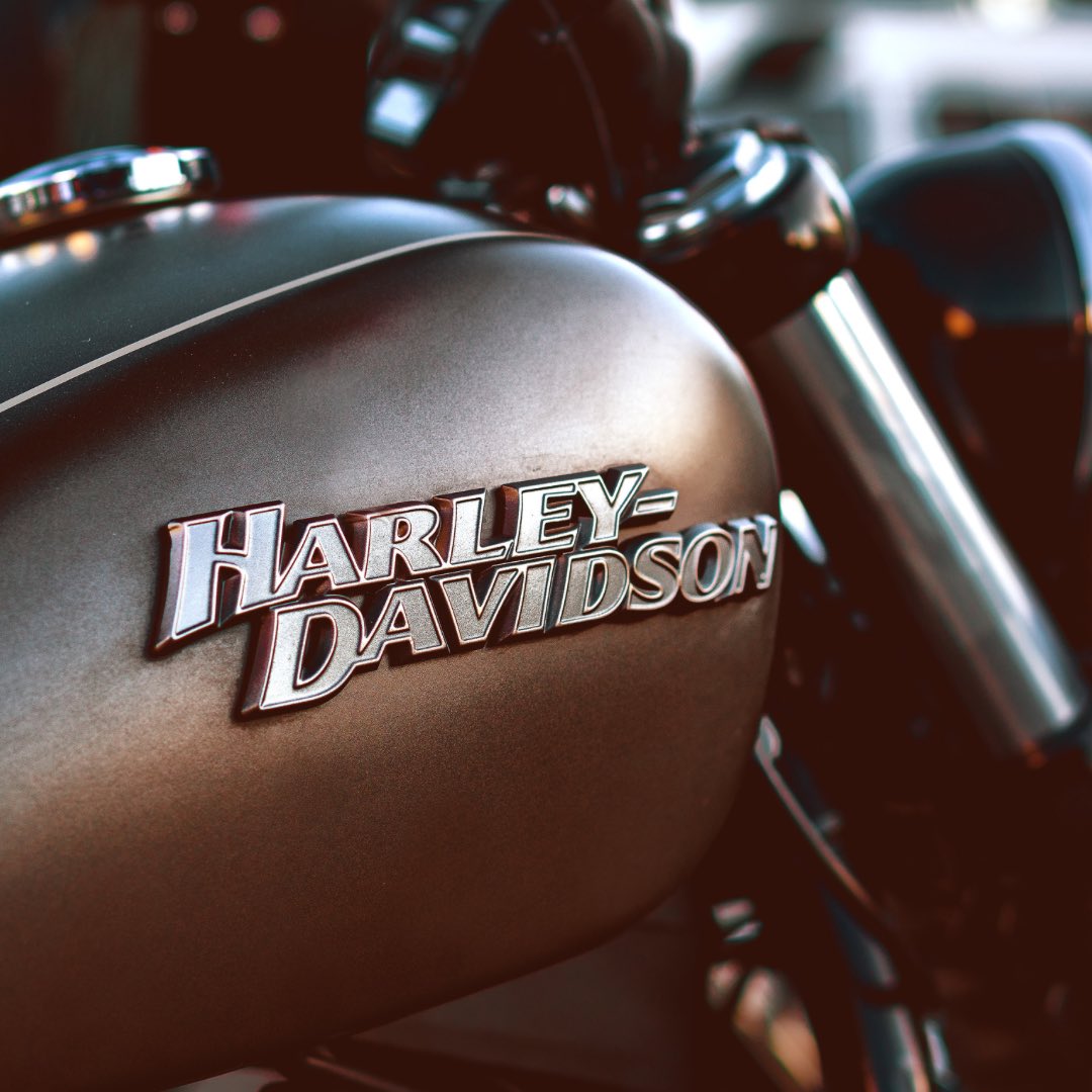 eldersofiron's tweet photo. 💯

#EldersOfIron #VroomJockey #VroomJockeyLife #Harley #HarleyDavidson #HarleyDavidsonMotorcycles #MotorcycleLife #HarleyLife https://t.co/dplGFbwDBa