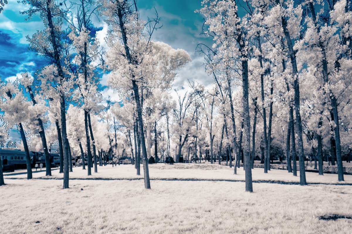ErikLopezPhoto's tweet photo. National Museum of Mexican Railways, Puebla, Puebla, Mexico. July 9th, 2023.

#ErikLopezPhotography #Photography #Landscape #LandscapePhotography #Sony #SonyPhotography #Outdoors #OutdoorsPhotography #Museum #IR #Infrared #InfraredPhotography #SoyFotocreativoDeCorazon https://t.co/KtAazFTzEx