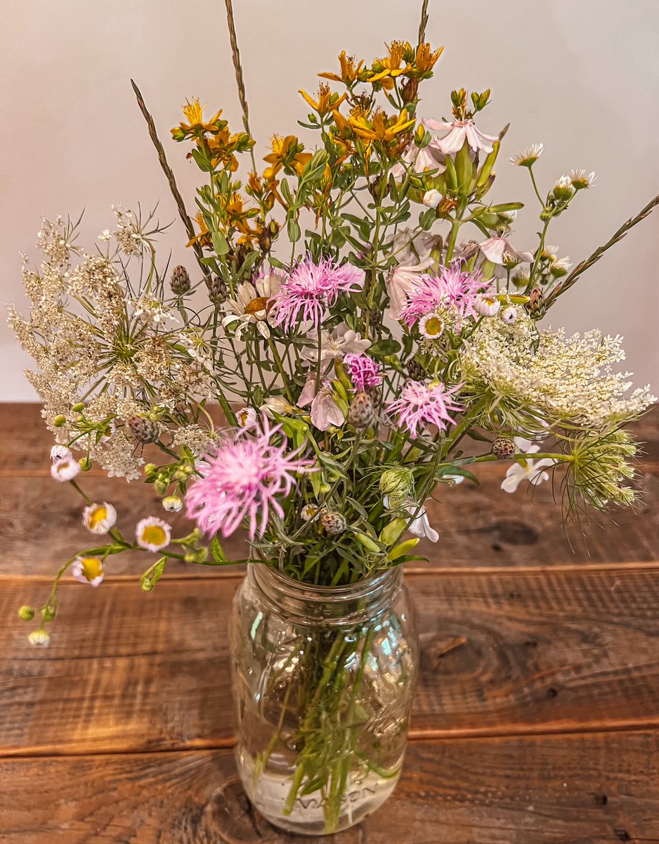 HouseHufflePup's tweet photo. My own field to vase arrangement grown right in the backyard. https://t.co/S1EyOIOIog