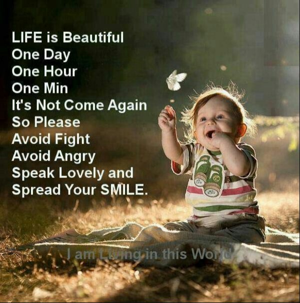 CapstackCarry's tweet image. 