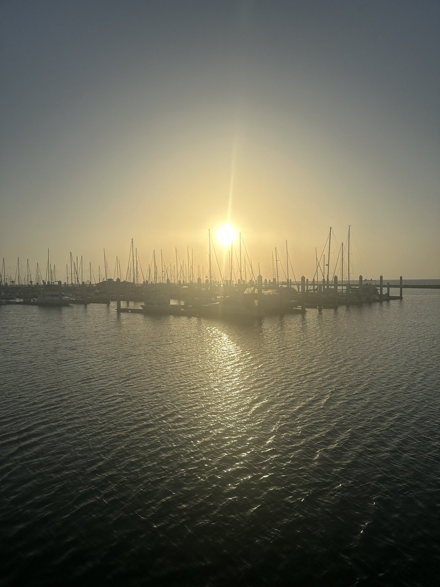 techamys's tweet image. Was on my way to the hotel gym on Thursday (because..you know..AC), and @cmwatson2010 talked me into walking with her along the water. So glad she did!!! #workwife #friedfan