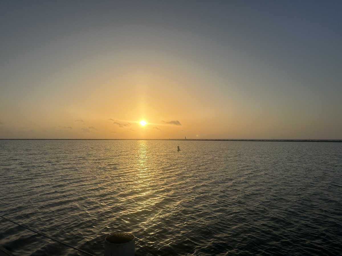 techamys's tweet image. Was on my way to the hotel gym on Thursday (because..you know..AC), and @cmwatson2010 talked me into walking with her along the water. So glad she did!!! #workwife #friedfan