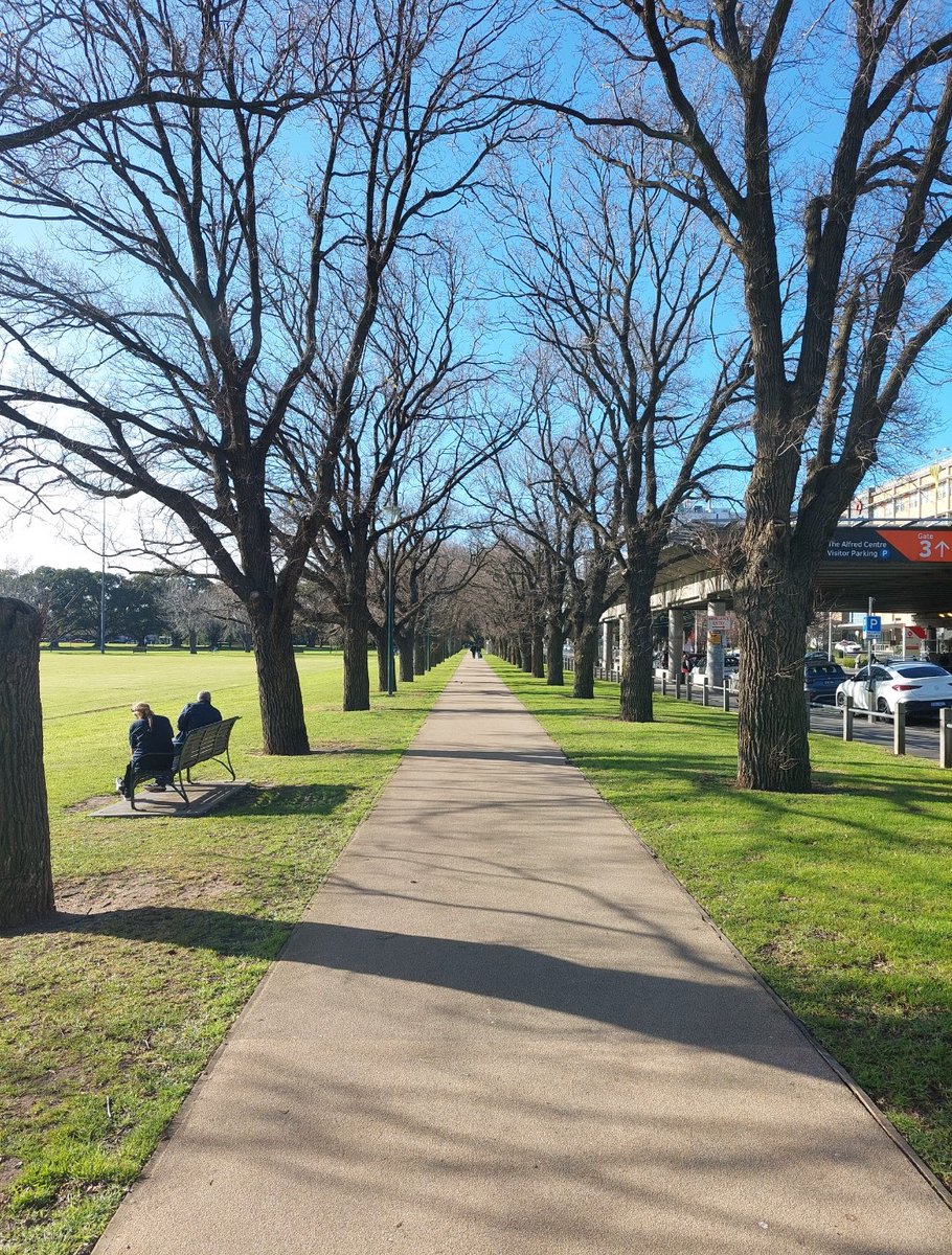 gemmasharp11's tweet photo. Gorgeous winter sun this morning at #FawknerPark #Melbourne near @AlfredHealth @Alfred_Research๐๐ณ #HappyWeekend #SaturdayVibes @CCSNeurosci @MonashCCS https://t.co/Yk4luPfsDI