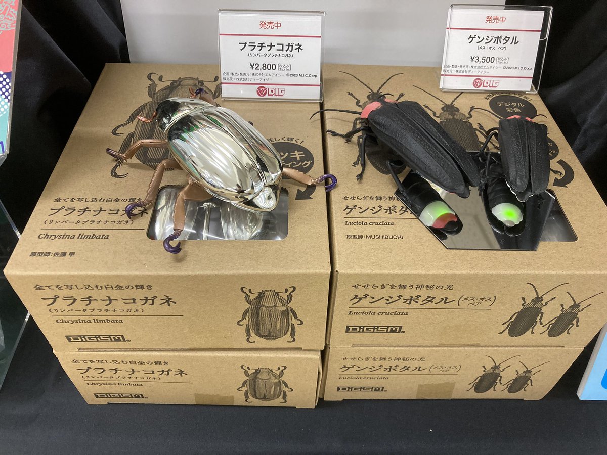 DIG_museum's tweet photo. イベント販売中！

印刷・塗装済
フルカラー昆虫プラキット

■ゲンジボタル(メス・オスペア)
ホタルの光をリアルに再現！！

■プラチナコガネ(リンバータプラチナコガネ)
リアルなメッキボディ！

 #博物ふぇすてぃばる ！9 
[A-38][DIGISM]ブースにて先行販売中！

#博ふぇす
#リアル昆虫
#昆虫模型 https://t.co/QmdAMFMcHd