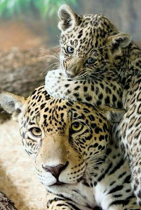 Favoloso fine settimana a tutti 🌹
Happy weekend everyone 😘