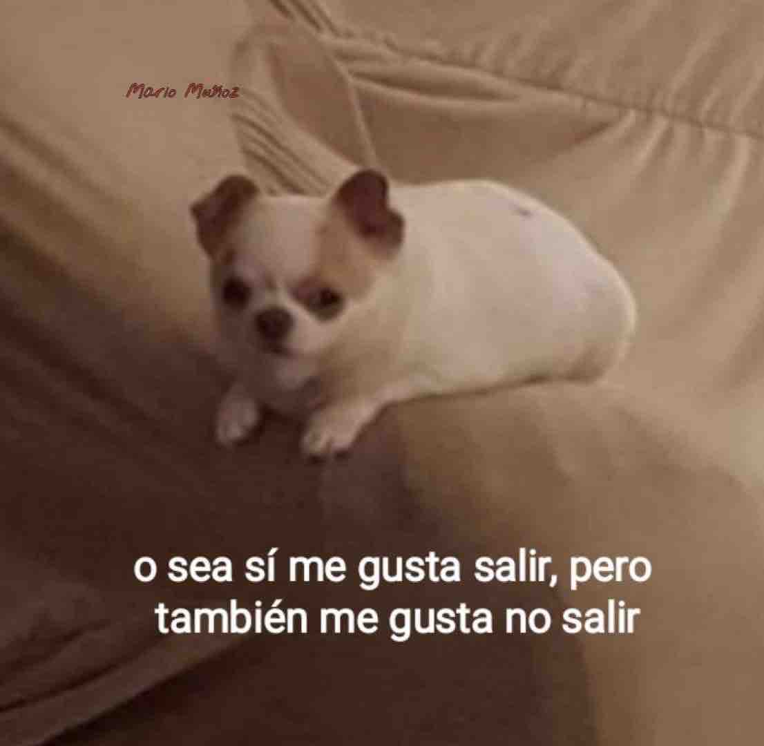 Guarromantico_'s tweet photo. https://t.co/CqHilEeXUj