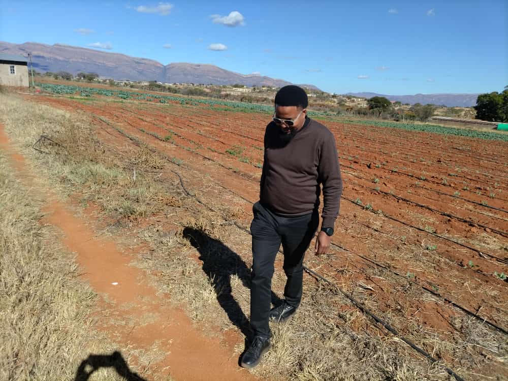 Tausejela's tweet photo. The harvest is Rich but the labourers are few https://t.co/sFamzkRIen