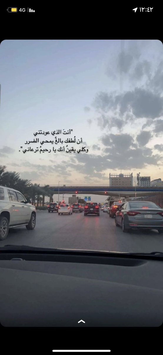 نزهات بغدادي (@nizhatb70190) on Twitter photo 