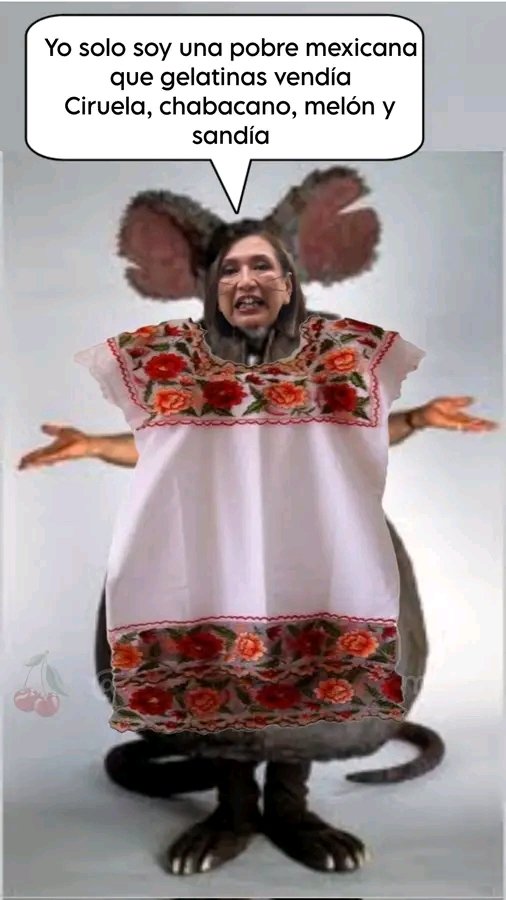 LuidD8208's tweet photo. @XochitlGalvez Yo solo conozco a una machuchona con $1500 millones en contratos de obra pública gracias a sus influencias entre los panistas corruptos https://t.co/RgN8V4l5NB