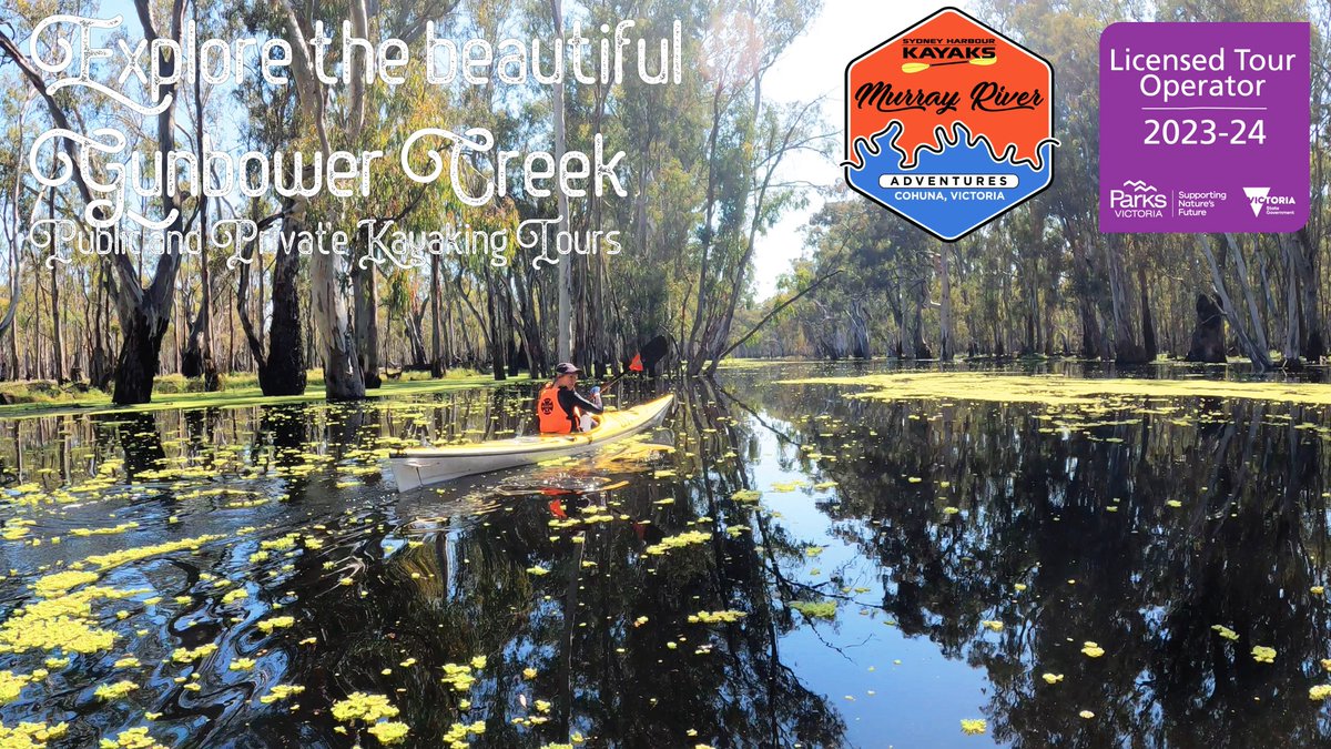 Murray River Adventures by Sydney Harbour Kayaks - Licensed Tour Operator for the Gunbower Creek, Forest and Wetlands - Cohuna, Victoria.

Remember that our very special Deep Forest Adventure is on between August 12 to 20 
Book now via - sydneyharbourkayaks.rezdy.com/441491/deep-fo…